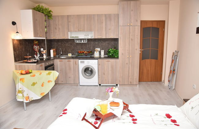 Apartments Plovdiv - Foto 31