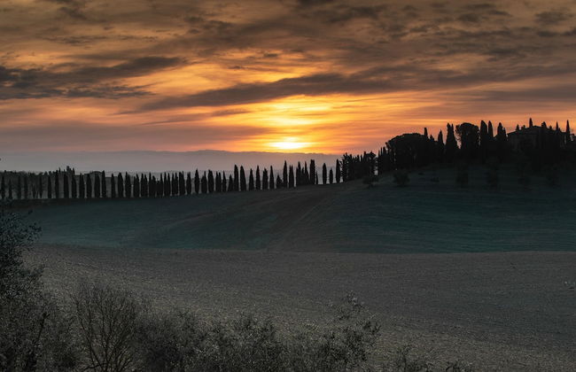 Ca' Bianca Tuscany Relais - Foto 53