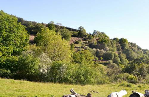 The Old Cider Mill - Foto 16