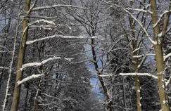 Haus Stefanie Elvire - Foto 63