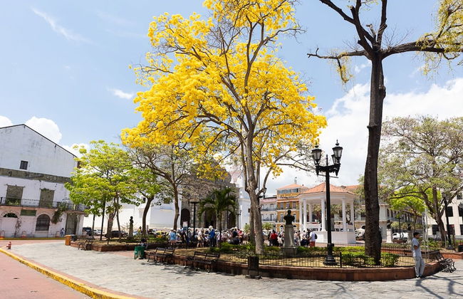 The Plaza Catedral Views by Acomodo Casco Viejo - Photo 34