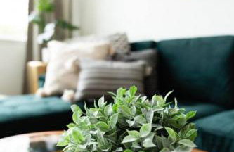 Gorgeous Pet and Family friendly Long stays - Foto 61