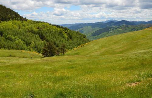 Rustic Apartment in Modigliana with Pool - Foto 38