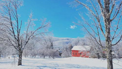 The Oliver Rice House Rice House - Foto 2