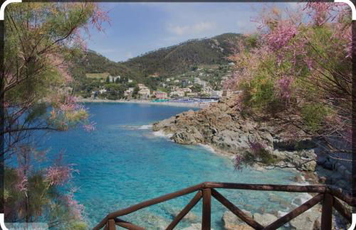 L' eden di Erasmo - Foto 61