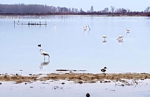 La Casa delle Magnolie - Foto 23