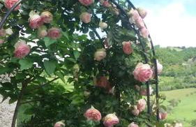 Incontro là dove si perde il giorno - Foto 11