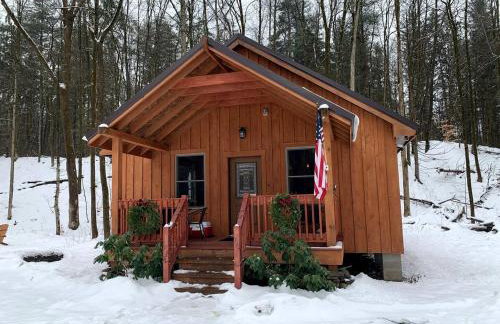 Cozy Three-Bedroom Cabin Near The Salmon River in Altmar, New York - Foto 17