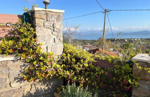 Panorama Traditional Village House - Foto 20