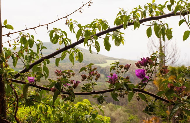 Masia Can Pou - Photo 35