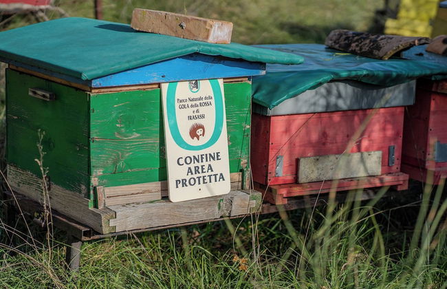 Il Capriccio del Papa - Photo 69