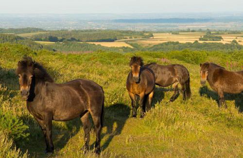 5 Bed in Langport oc-h33495 - Foto 42