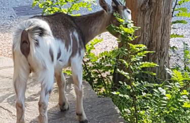 Borgo al Cielo - Albergo Diffuso - Foto 36