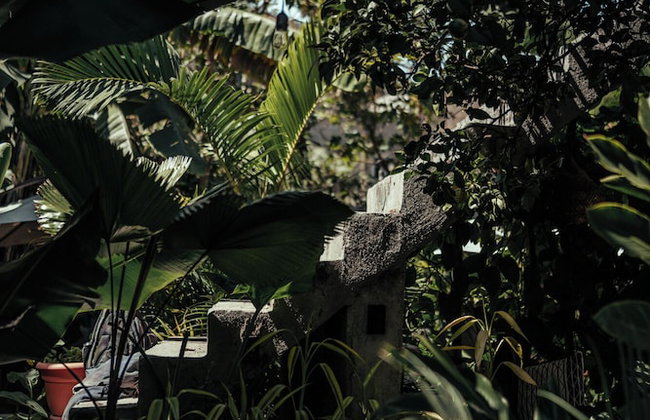 San Marcos Properties - Foto 70