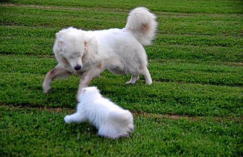 Monica di Sorbo - Foto 25