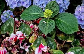 E s s e n t i a l Pompei - Foto 53