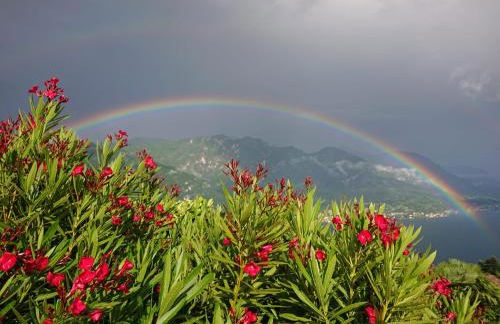 Villa Primula - Foto 57