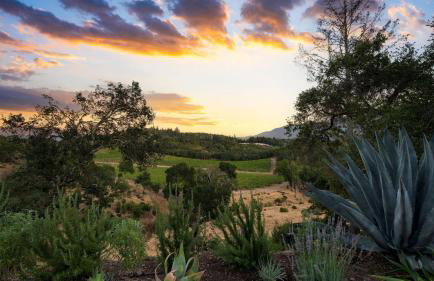 Kenwood Vista by Avantstay 7acres w/ Pool, Fire Pit, Vineyard Views - Foto 63
