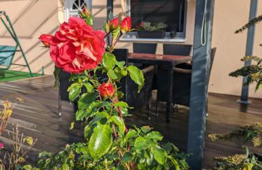 Idyll im Land der 1000 Seen - Foto 25