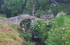 Ca Na Daniela - Foto 34