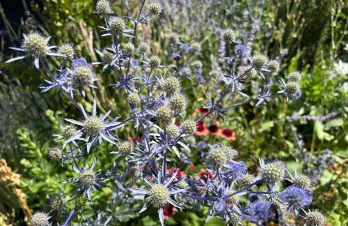 Vacation home, private pool & whirpool jacuzzi outhouse377 - Foto 18