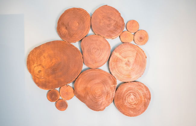 Y.Palmela - Boutique Apartments - Foto 49