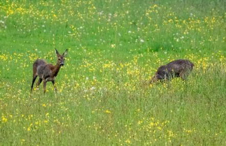 Thames Head Wharf - Historic Cotswold Cottage with Stunning Countryside Views - Foto 15