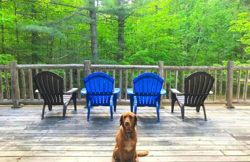 Dog-Friendly Chalet Rental near Whiteface Mountain and Lake Placid, New York - Foto 13