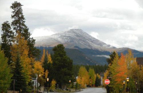 Moose Crossing - Photo 58