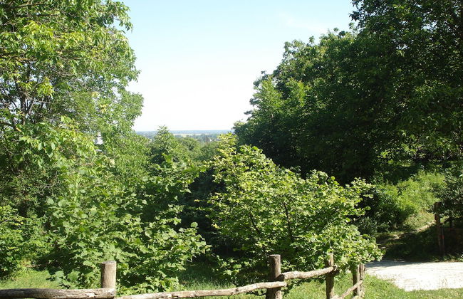 Mikin dol Baranja Country House - Foto 22