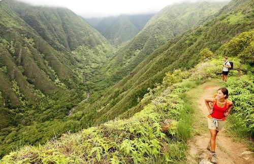 Milowai 302 · MIL 302 Oceanfront 2BD w Ocean Views Whale Watch - Foto 95