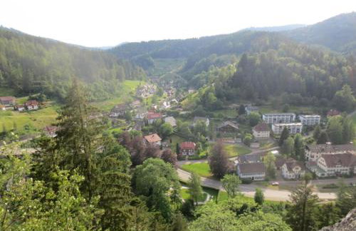 Holiday Home Tauchert - Foto 45