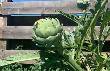 Maison bretonne proche mer - Photo 15