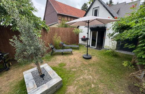 Tiny House am See Dillich - Hunde willkommen - Eigener eingezäunter Garten - Ruhige Lage - Klima - Foto 31