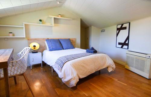 Letplanet Pio XII - Foto 5