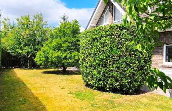 Ferienhaus-Kalkar - Foto 42