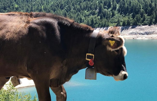 Chalet del Sole - Foto 30