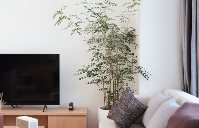 HOTEL LA VIGNE HAKUBA by Onko Chishin - Foto 70