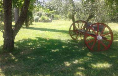 Podere Stollo - Foto 57