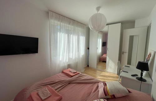 Olivier du ciel ODC - Photo 5