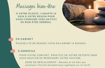 Gites-domainedupin, cottage "Mosnes à Lisa" - Foto 19