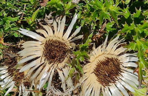 Gruentenausblick - Foto 22