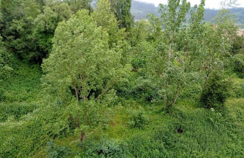 reservaserfisosmar - Photo 14