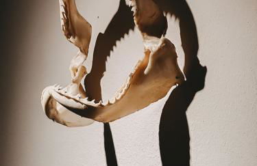 Skippers Inn - Foto 29