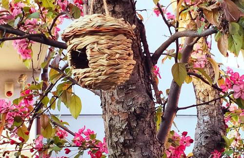 BHH Appartamento Signorini Bologna -wwwbolognaholidayhomecom- Parcheggio Riservato e Giardino - Holiday House Bologna Garden Parking - Foto 15