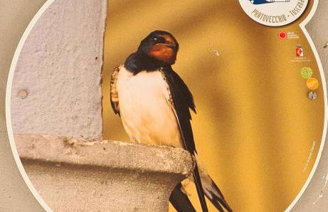 Appartamento in Piazza Nova - Foto 25