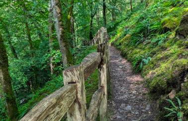 Dolgellau Grand Heights Apt - Foto 30