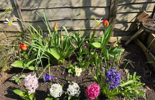 Tiny house with pull down bed - Foto 18