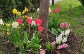 Ferienhaus am Bach - Foto 60