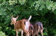 Palazzo 54 - Photo 17